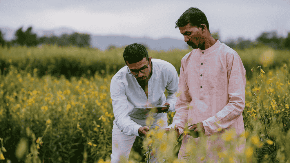 Natural Pest Control Strategies That Farmers Are Embracing in 2025 - Octa Organics and Fertilizers Pvt. Ltd.