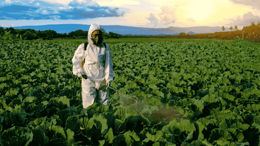 Fungicide for Plants: Everything Farmers Need to Know - Octa Organics and Fertilizers Pvt. Ltd.