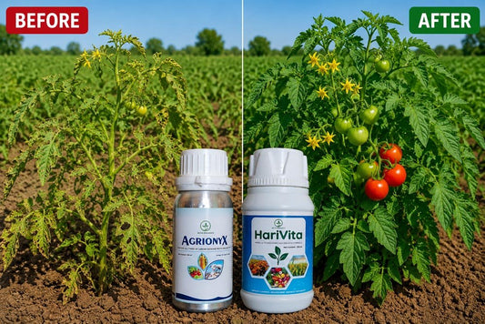 Agrionyx + HariVita Combo – Complete Pest Control & Growth - Octa Organics and Fertilizers Pvt. Ltd.
