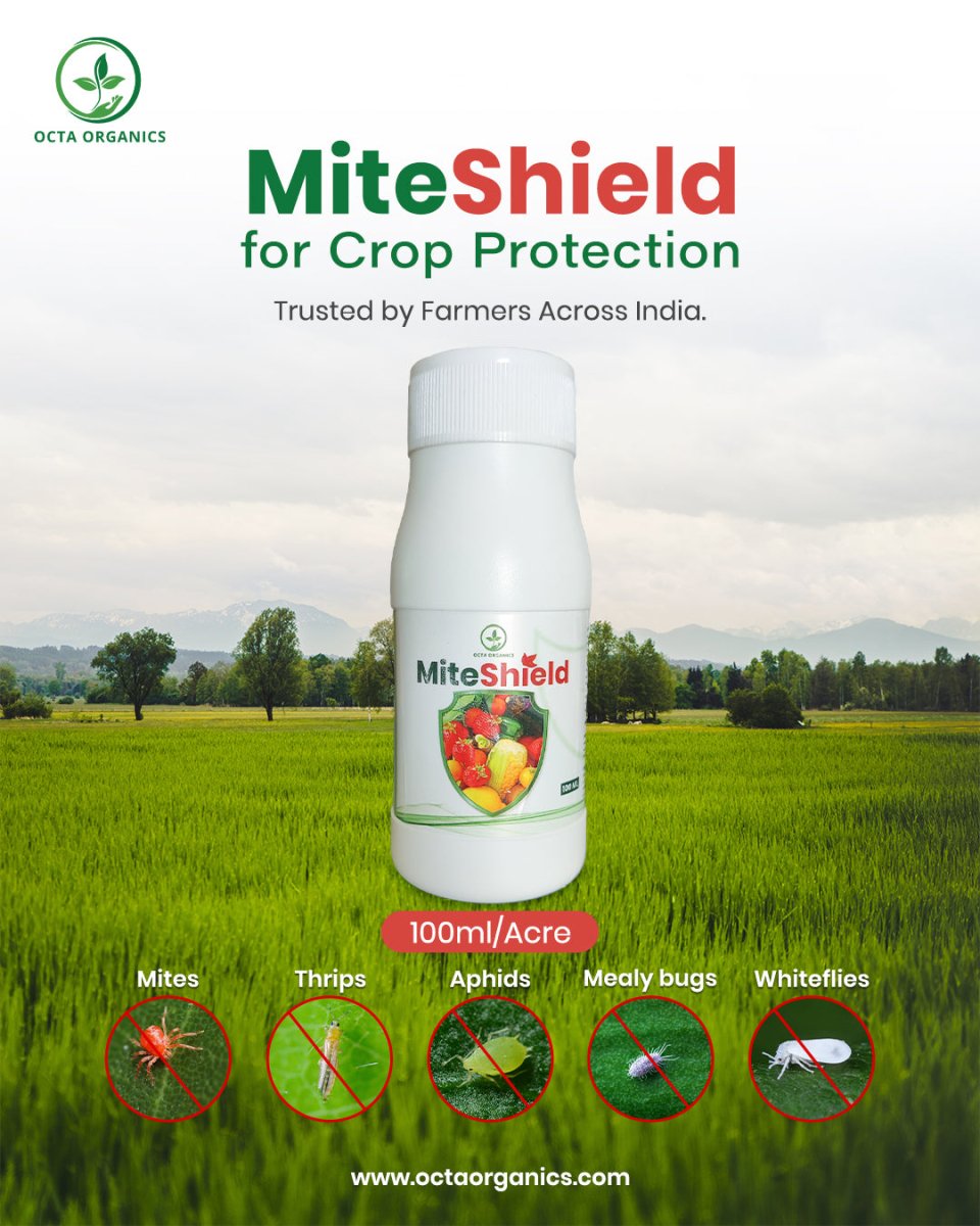 Miteshield – Advanced Organic Miticide for Effective Mite Control - Octa Organics and Fertilizers Pvt. Ltd.
