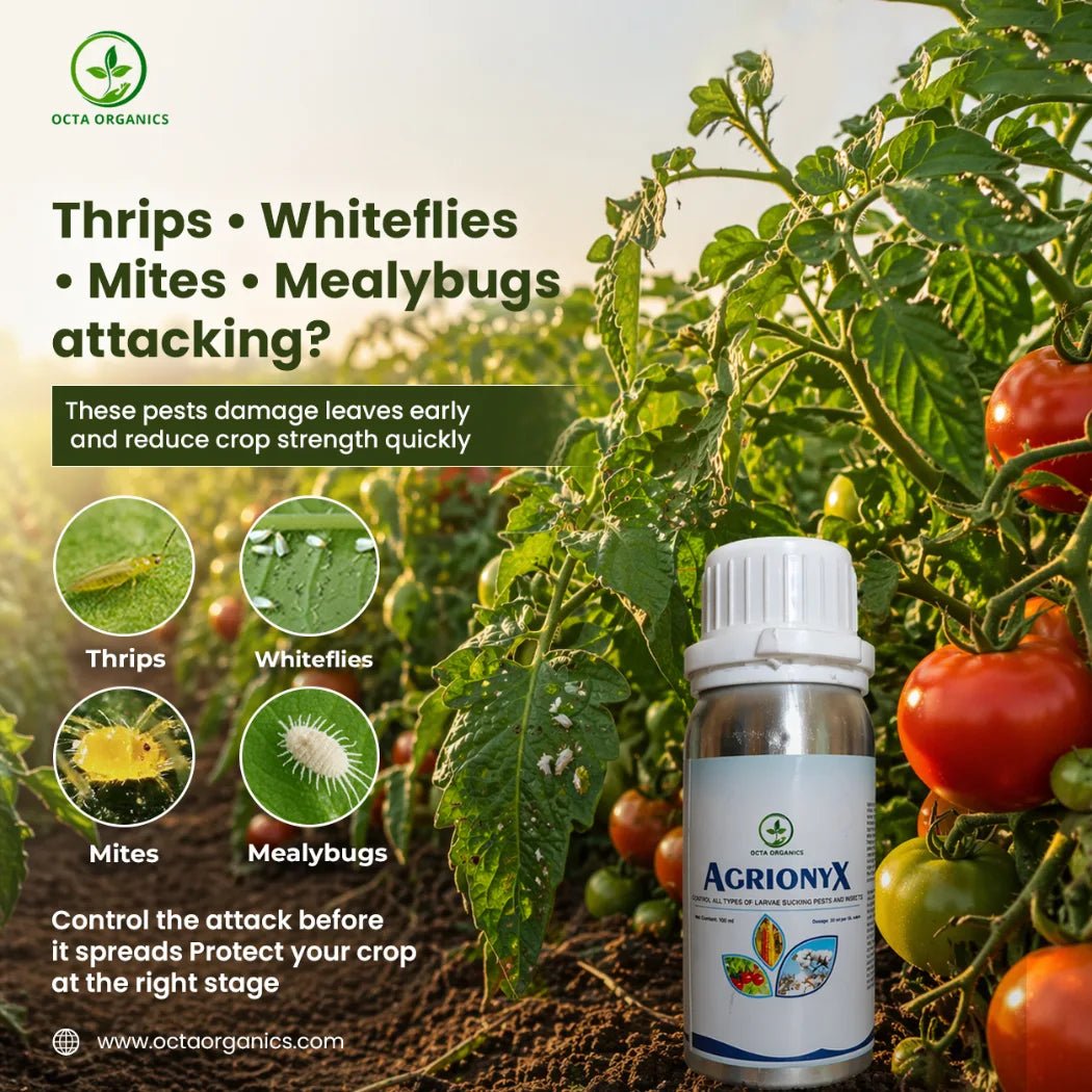 AgrionyX – Control All Types of Larvae, Sucking Pests and Insects - Octa Organics and Fertilizers Pvt. Ltd.