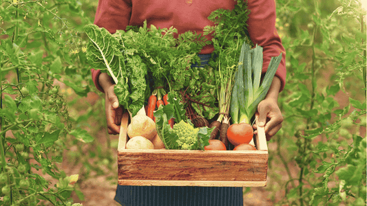Best Organic Farming Practices for Vegetable Growers in India - Octa Organics and Fertilizers Pvt. Ltd.