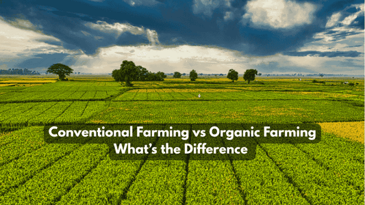 What Is the Difference Between Conventional Farming and Organic Farming? - Octa Organics and Fertilizers Pvt. Ltd.