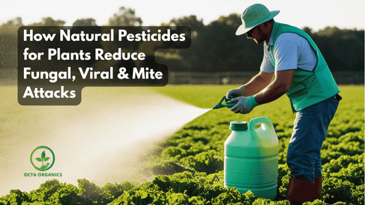 How Natural Pesticides for Plants Reduce Fungal, Viral & Mite Attacks - Octa Organics and Fertilizers Pvt. Ltd.