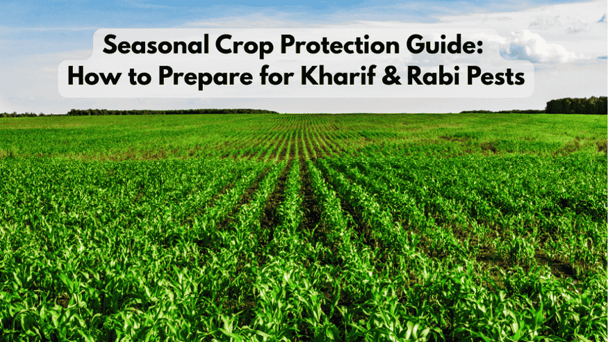 Seasonal Crop Protection Guide: How to Prepare for Kharif & Rabi Pests - Octa Organics and Fertilizers Pvt. Ltd.