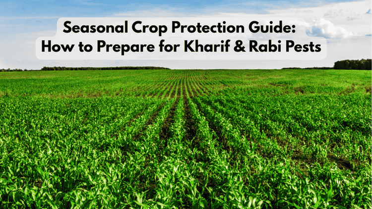 Seasonal Crop Protection Guide for Kharif & Rabi Pest Management – Octa ...