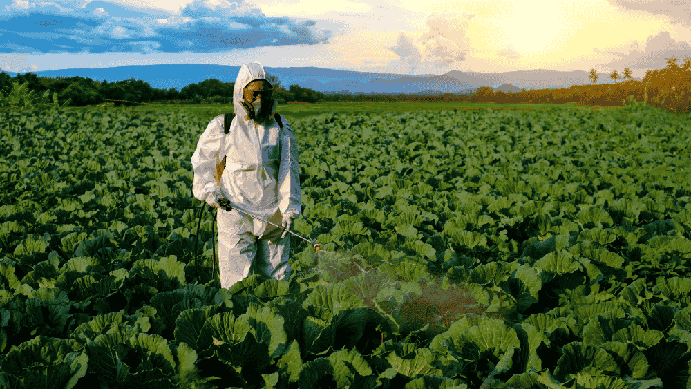 Fungicide for Plants: Everything Farmers Need to Know - Octa Organics and Fertilizers Pvt. Ltd.
