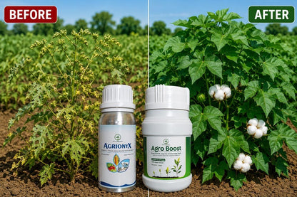 Agrionyx + AgroBoost Combo – Complete Pest Control & Soil Booster - Octa Organics and Fertilizers Pvt. Ltd.