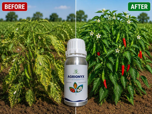Agrionyx – Complete Pest Control for All Crops - Octa Organics and Fertilizers Pvt. Ltd.
