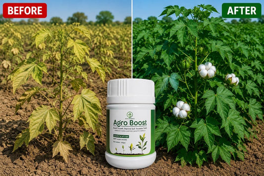 AgroBoost – Organic Growth Booster for All Crops - Octa Organics and Fertilizers Pvt. Ltd.