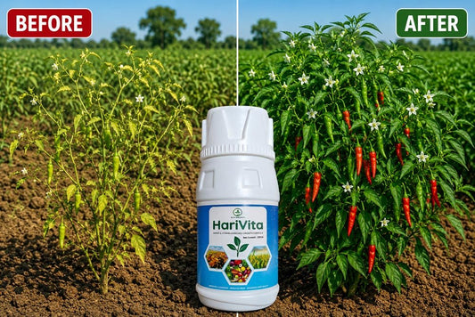 HariVita – Amino & Vitamin Enriched Growth Formula - Octa Organics and Fertilizers Pvt. Ltd.