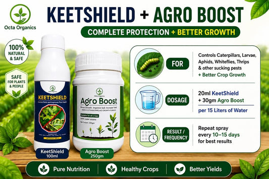 KeetShield + AgroBoost Combo – Larvae Control & Soil Booster - Octa Organics and Fertilizers Pvt. Ltd.