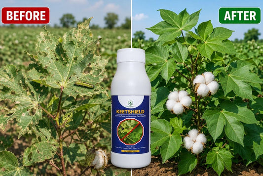 KeetShield – Kills Larvae and Caterpillars - Octa Organics and Fertilizers Pvt. Ltd.