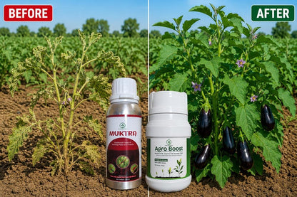 Muktra + AgroBoost Combo – Sucking Pest Control & Soil Booster - Octa Organics and Fertilizers Pvt. Ltd.