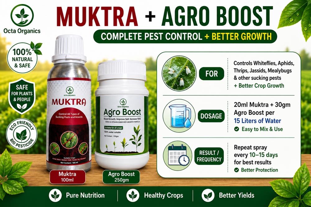 Muktra + AgroBoost Combo – Sucking Pest Control & Soil Booster - Octa Organics and Fertilizers Pvt. Ltd.