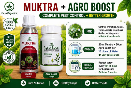 Muktra + AgroBoost Combo – Sucking Pest Control & Soil Booster - Octa Organics and Fertilizers Pvt. Ltd.