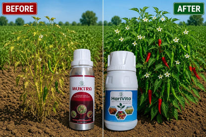 Muktra + HariVita Combo – Sucking Pest Control & Growth - Octa Organics and Fertilizers Pvt. Ltd.