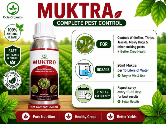 Muktra – Kills Whiteflies, Mites and Sucking Pests - Octa Organics and Fertilizers Pvt. Ltd.