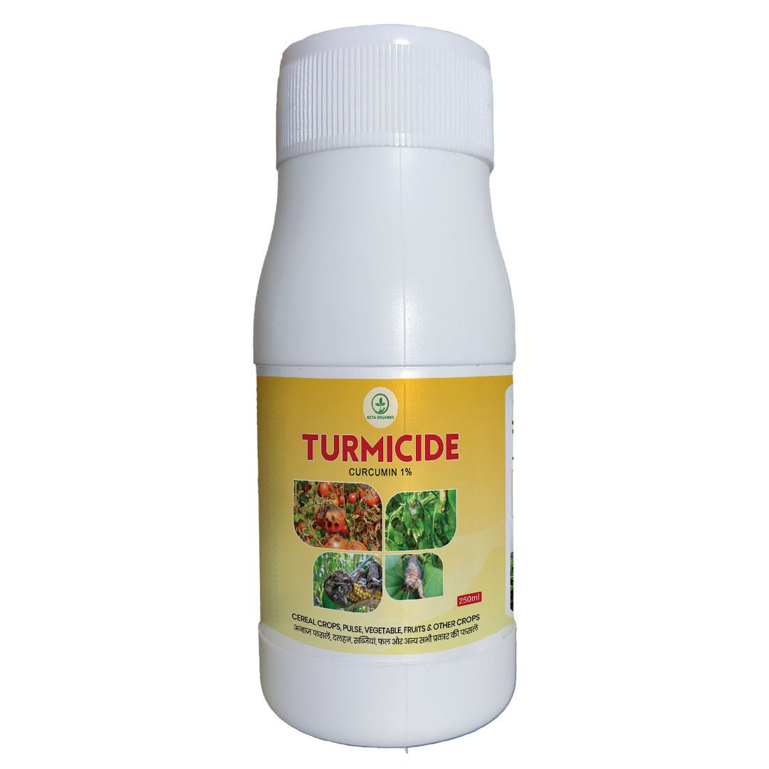 Turmicide – Natural Fungicide Powered by Curcumin - Octa Organics and Fertilizers Pvt. Ltd.