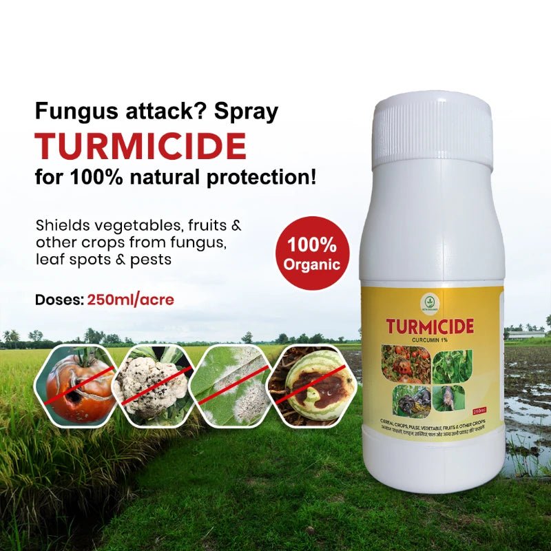 Turmicide – Natural Solution for Fungal Disease Control in Plants - Octa Organics and Fertilizers Pvt. Ltd.
