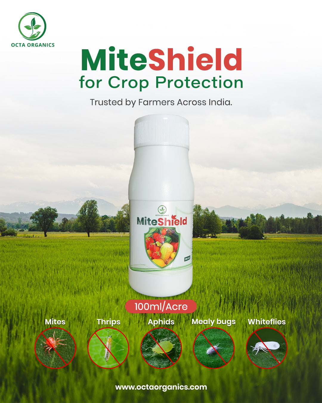 Miteshield – Advanced Organic Miticide for Effective Mite Control