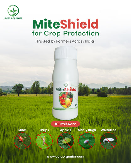 Miteshield – Advanced Organic Miticide for Effective Mite Control