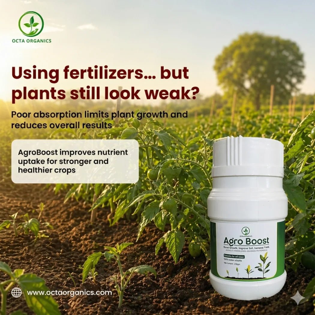AgroBoost – Boost Growth. Improve Soil. Increase Yield - Octa Organics and Fertilizers Pvt. Ltd.