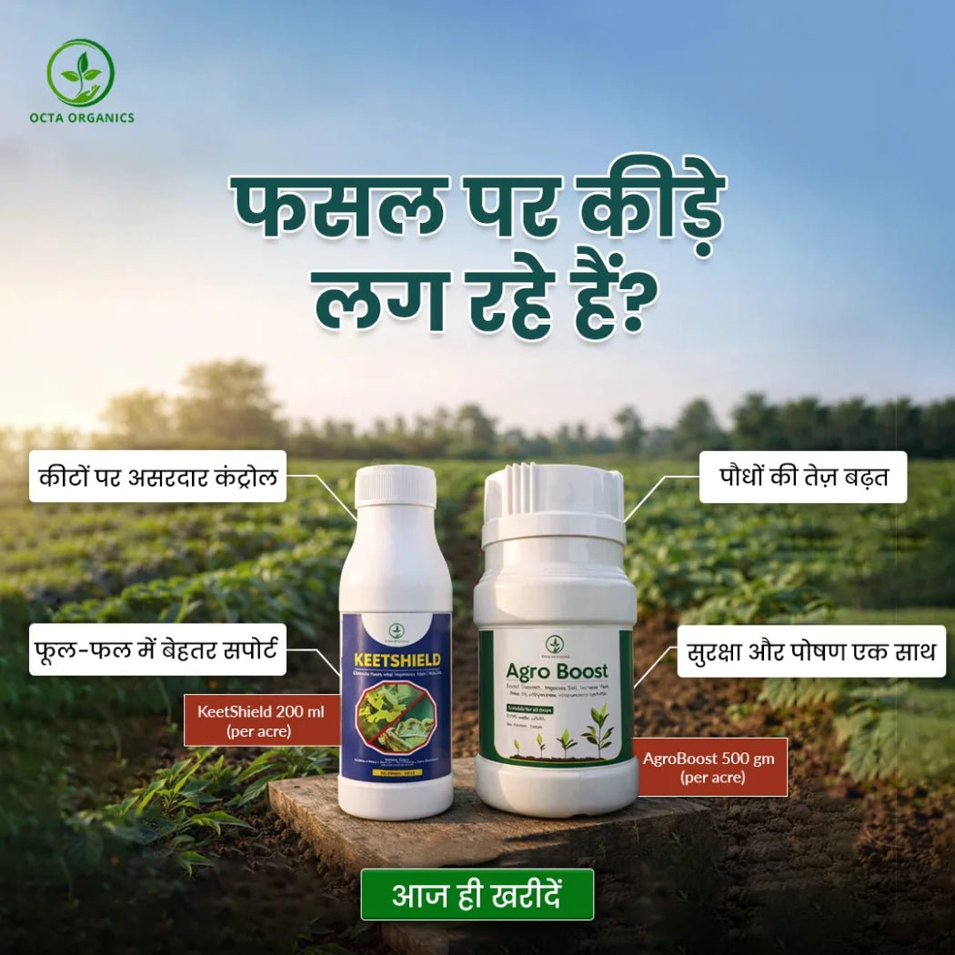 KeetShield (100ML) + AgroBoost (250GM) Combo - Protect Your Crops and Boost Yield with One Powerful Combo - Octa Organics and Fertilizers Pvt. Ltd.